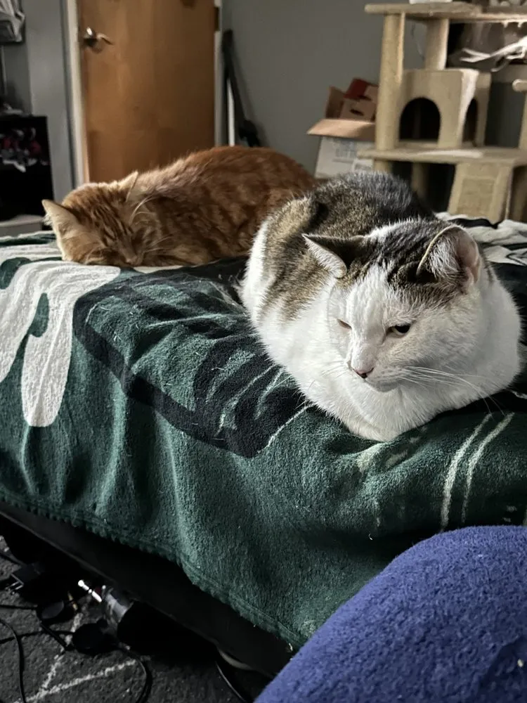 Slide of LDB Handyman