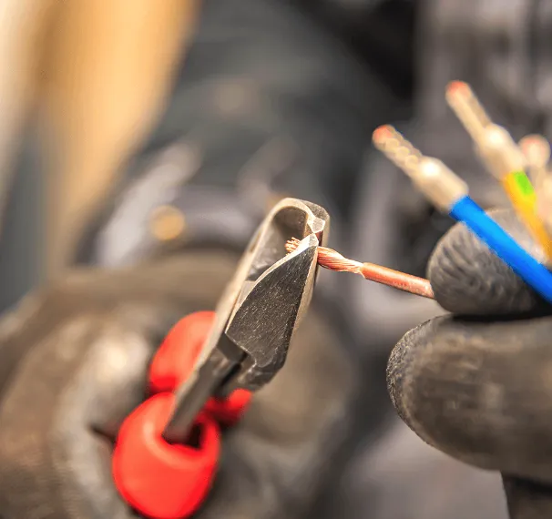 Slide of Le Presti Electric