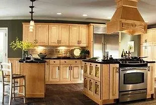 Slide of Leaf Electric