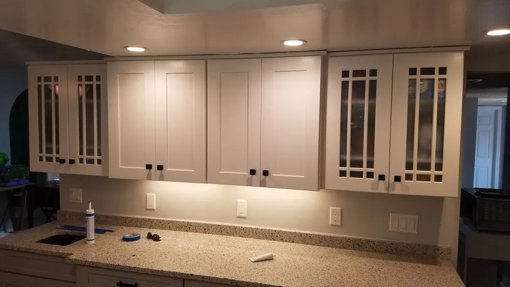 Slide of Leaf Electrical