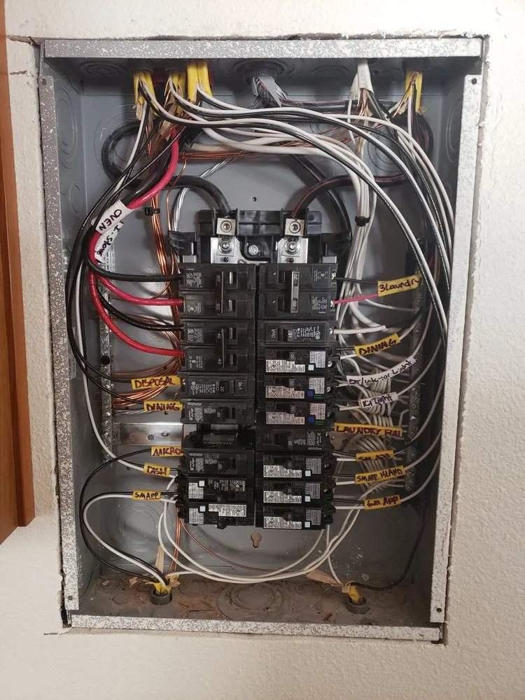 Slide of Leaf Electrical