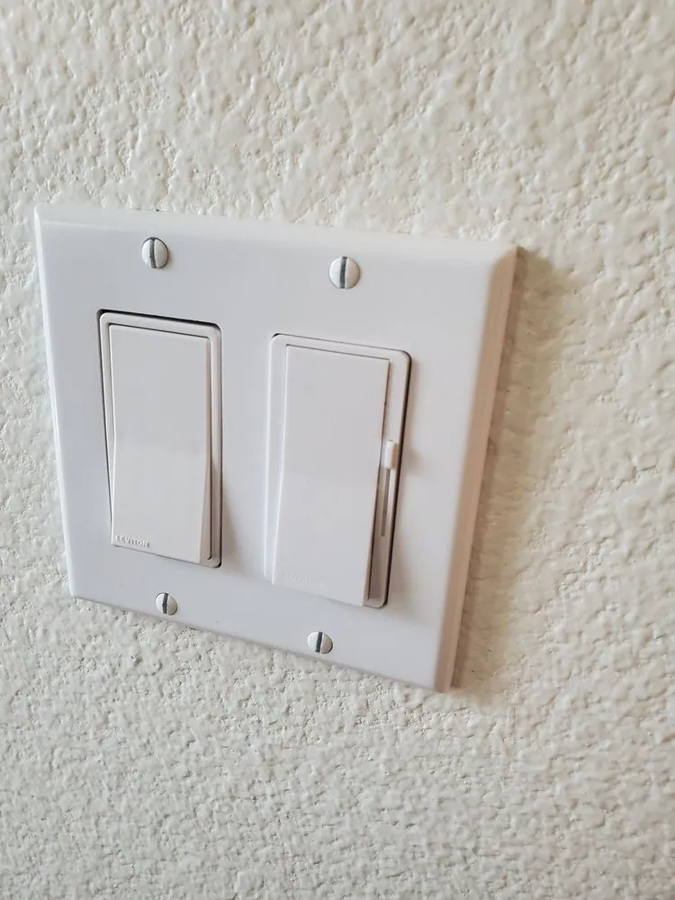 Slide of Leaf Electrical