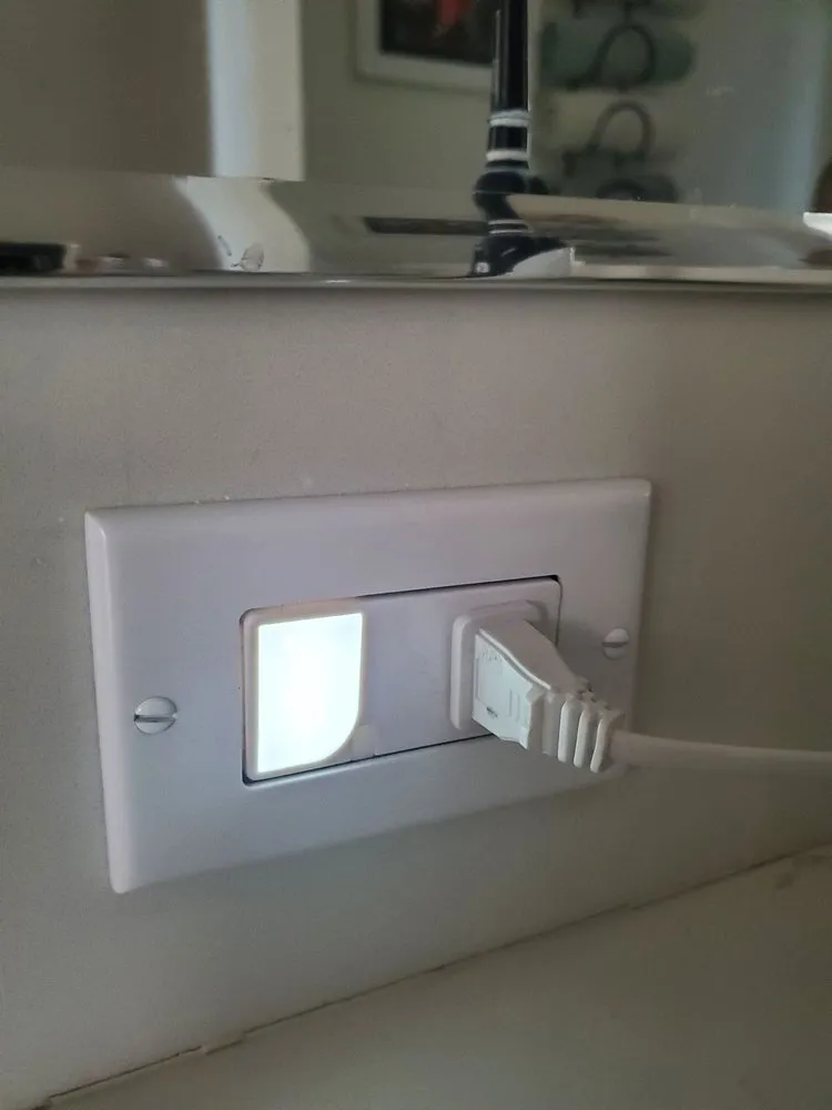 Slide of Leaf Electrical