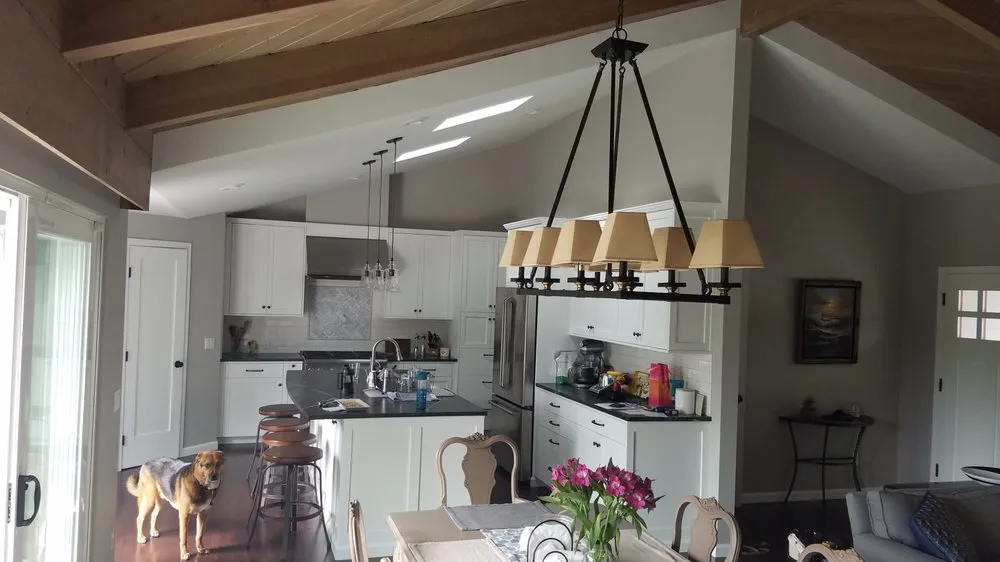 Slide of Leaf Electrical