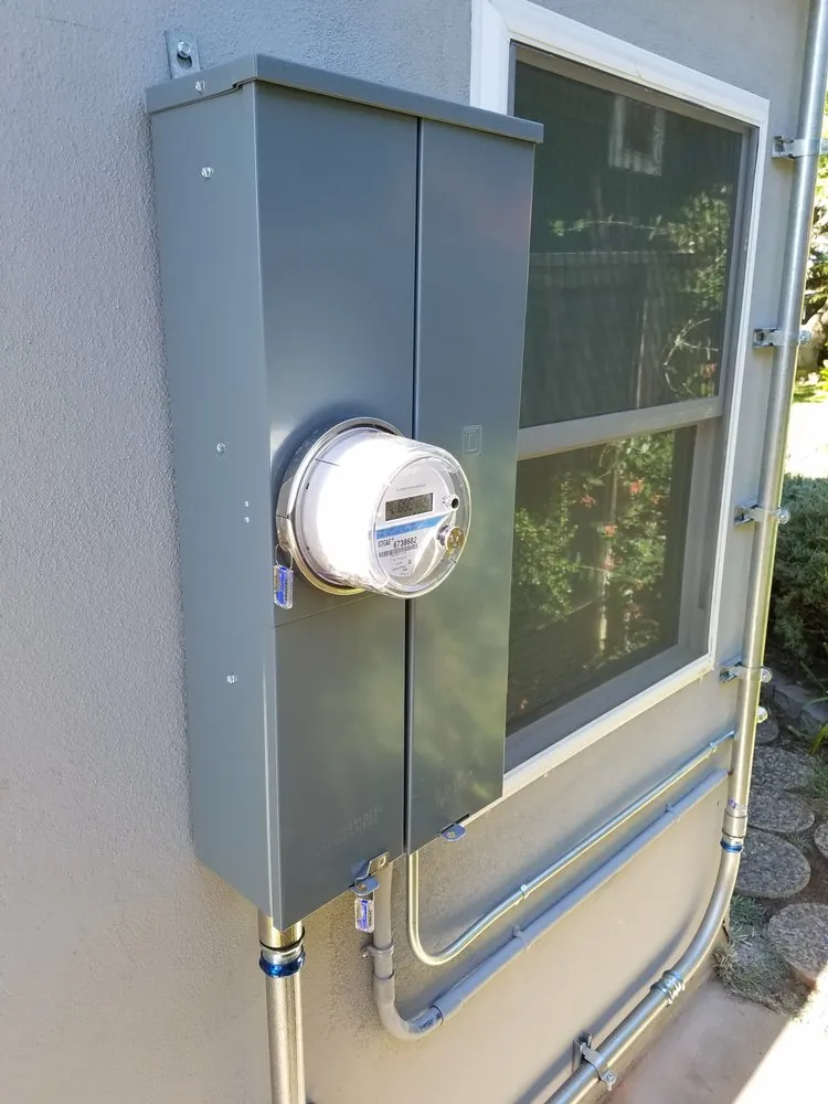 Slide of Leaf Electrical