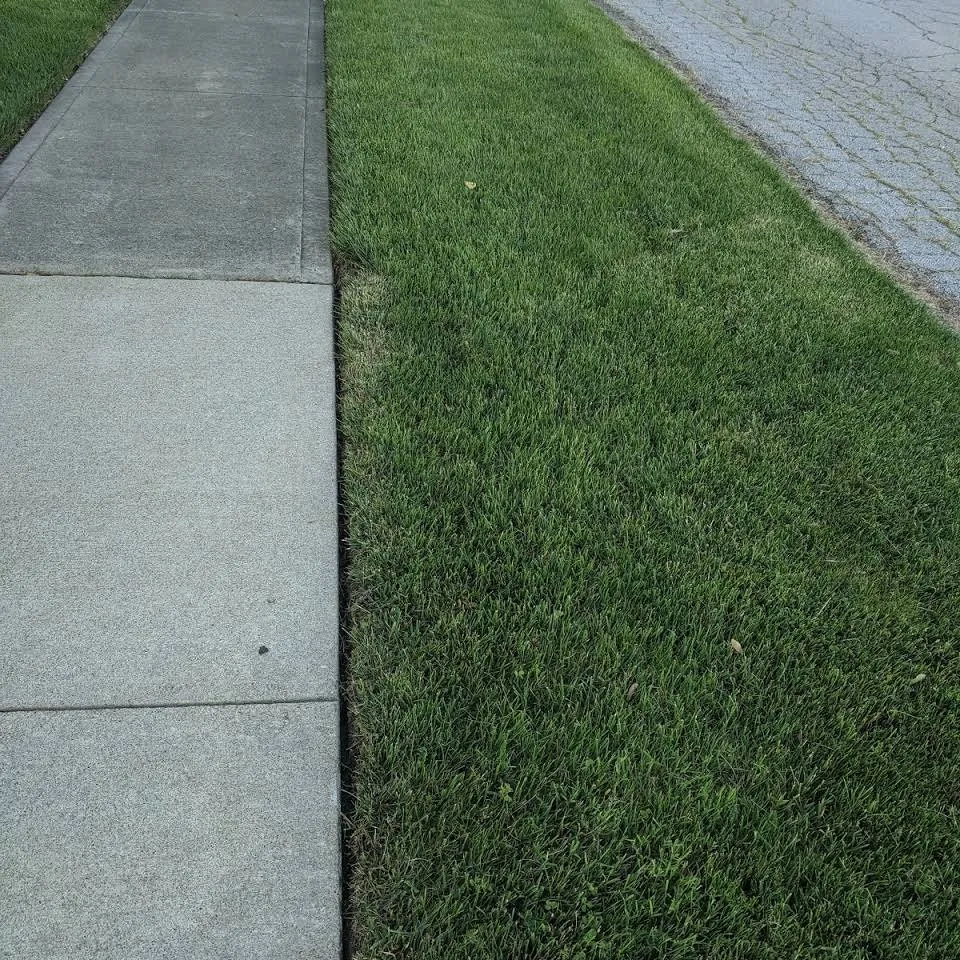 Slide of Lee Brother's