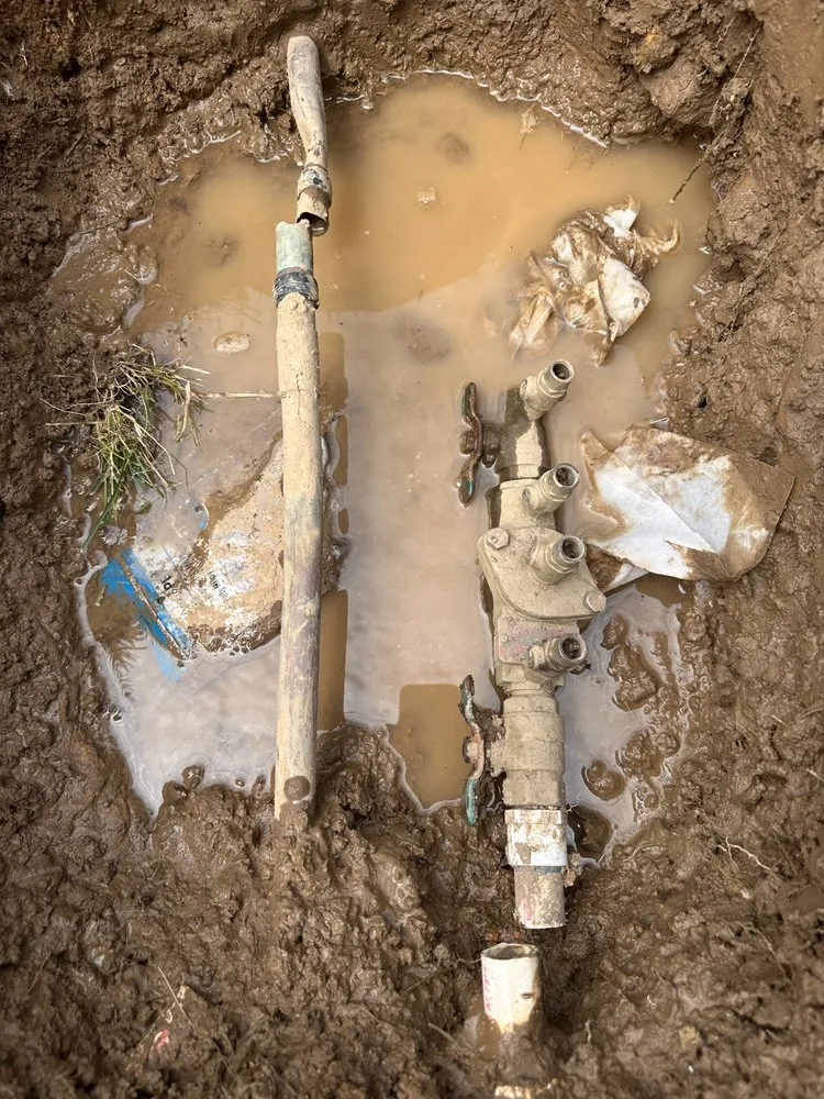 Slide of Lee Company