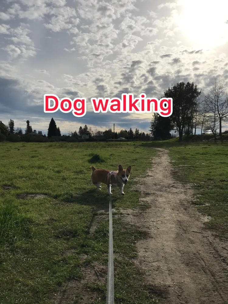 Slide of Lee’s Handyman Services