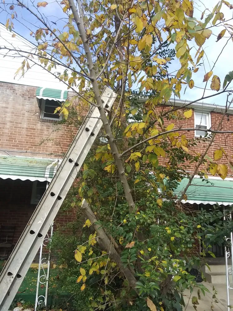 Slide of Lee's Lawn Care Hauling and Home Improvement Services