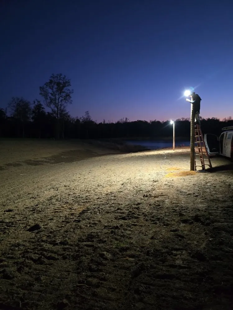 Slide of Lees Lighting