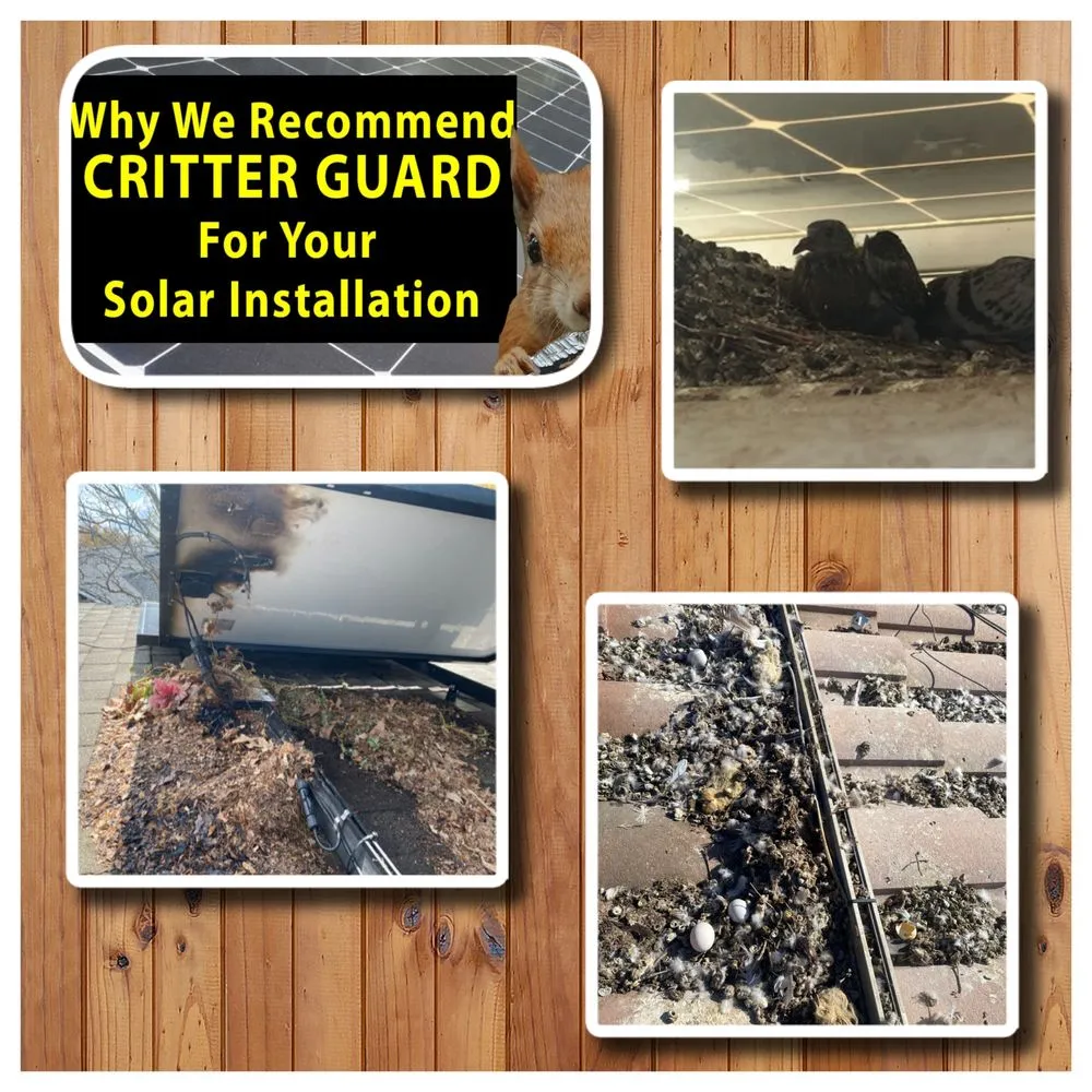 Reliable outlet and switch repair in , by Legacy Power Cleaning