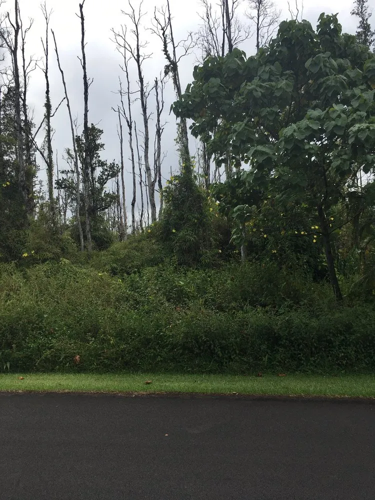 Slide of Leilani Electric