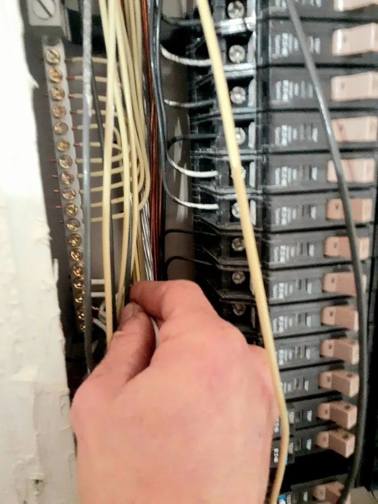 Slide of Lemon Electric