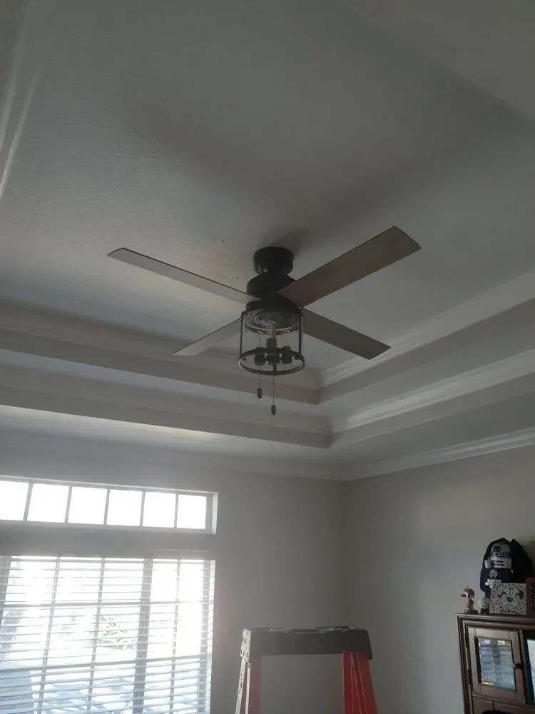 Slide of Lemon Electric