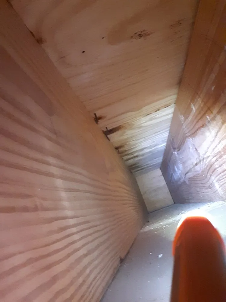 Slide of Lemon Electric