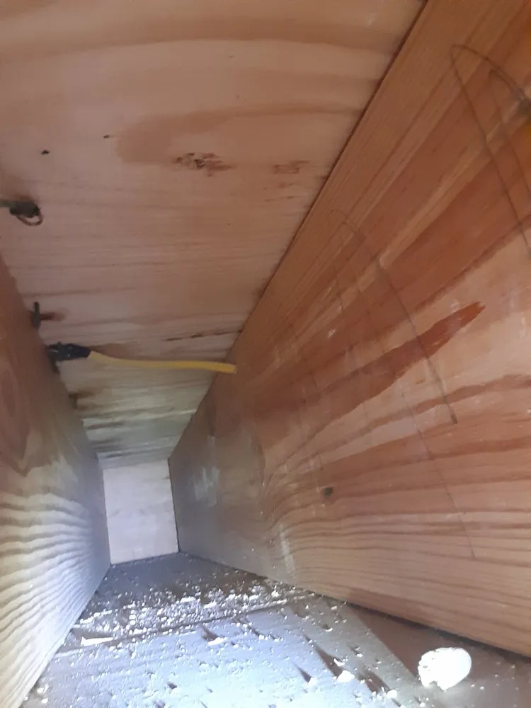 Slide of Lemon Electric