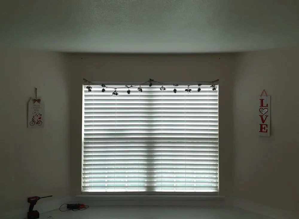 Slide of Lemon Electric