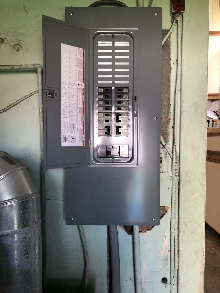 Slide of Lenny The Electrician