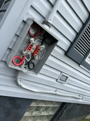 Lenzi Electric