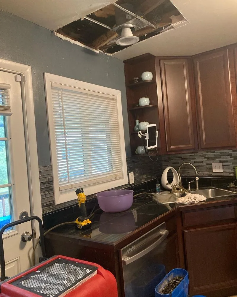 Slide of Leon Handyman