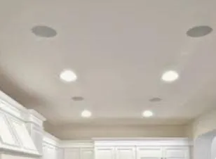 Slide of Leonel Lorenzana low voltage