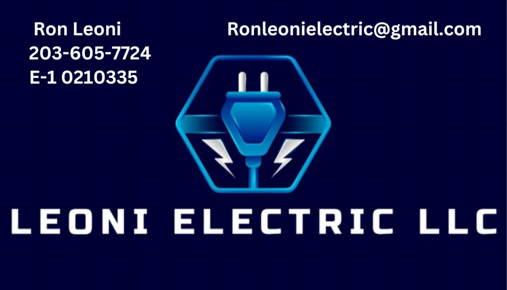 Slide of Leoni Electric