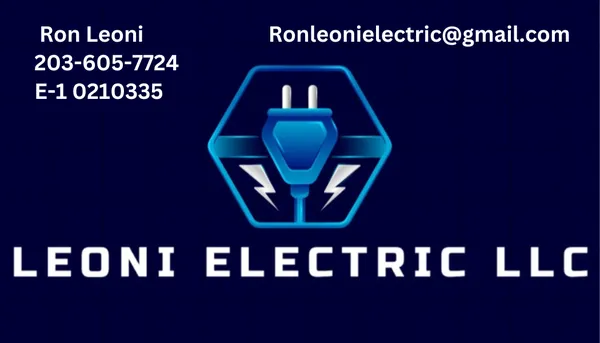 Leoni Electric
