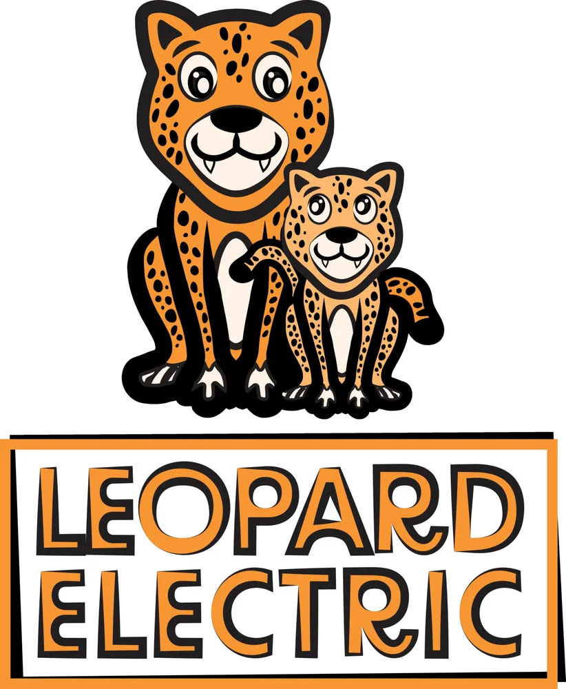 Slide of Leopard Electric