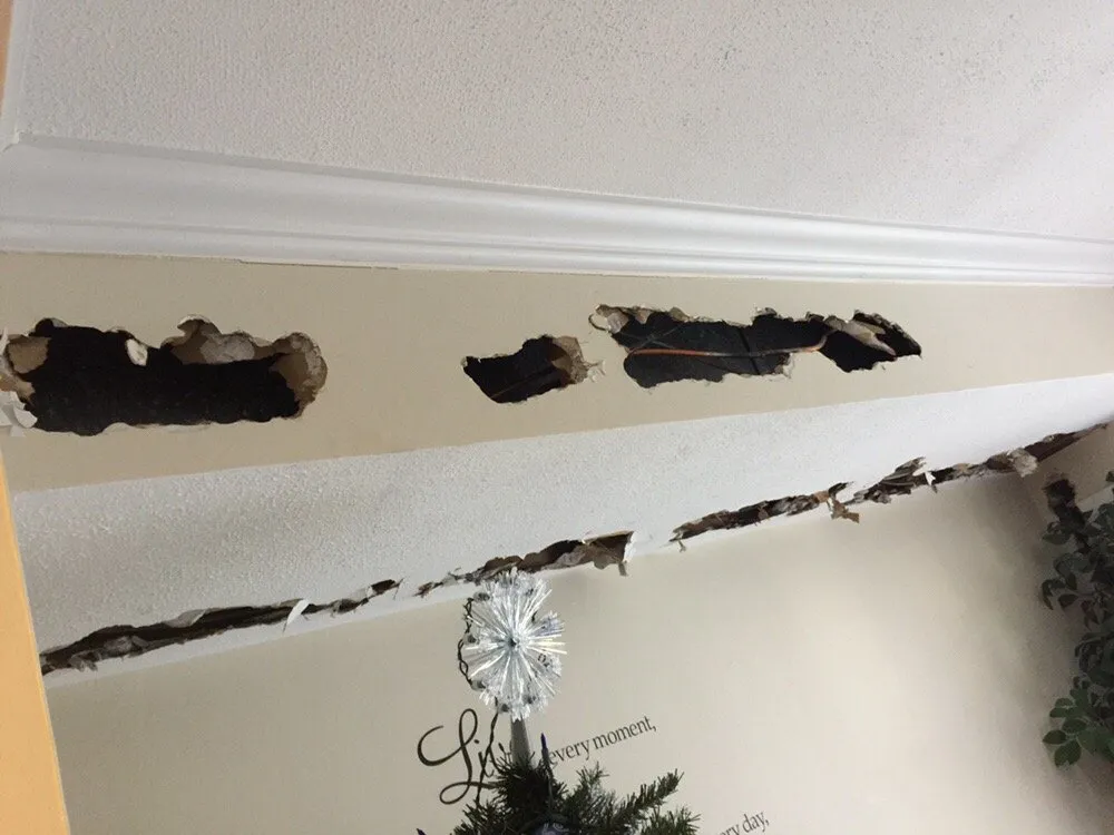 Expert electrical service for homes in panel upgrade,  by 