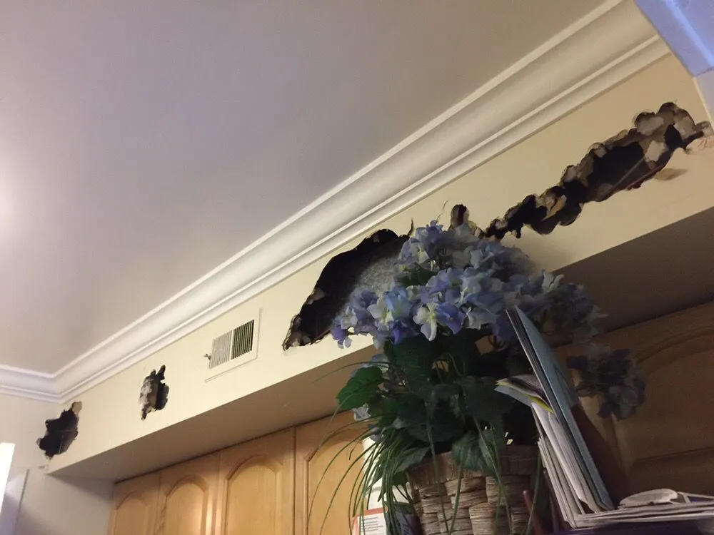 Affordable panel upgrade service in ,  - Lerner & Garcia Associates