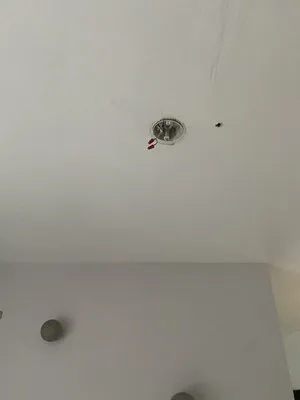 L.E.S. Is More Electric