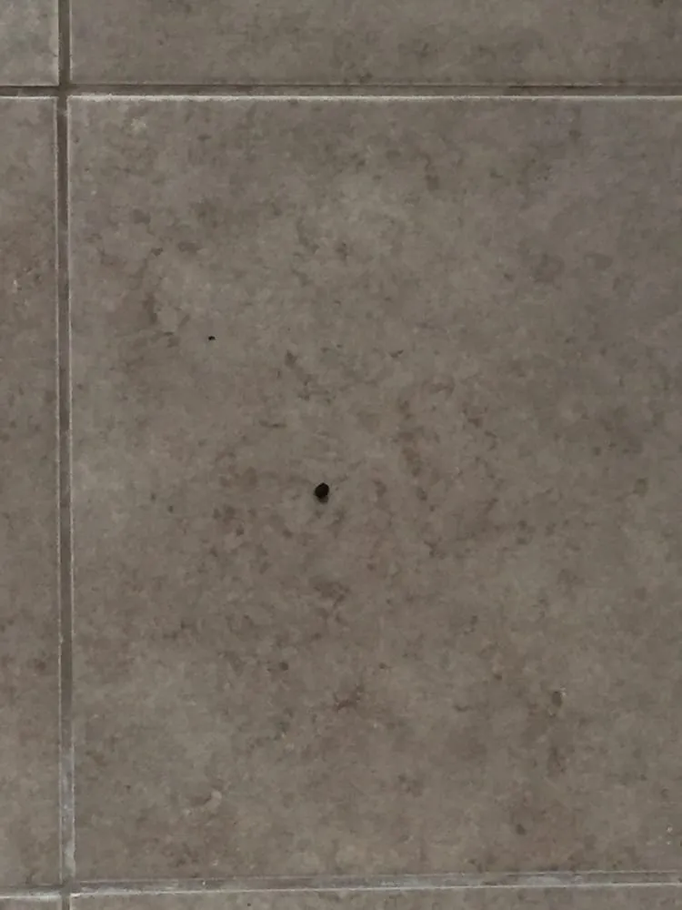 Licensed outlet and switch repair experts serving ,  - Leslie Heating Cooling Plumbing, & Electric