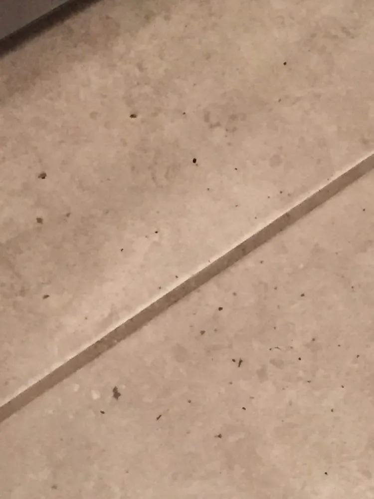 Trusted emergency electrical service in ,  by Leslie Heating Cooling Plumbing, & Electric