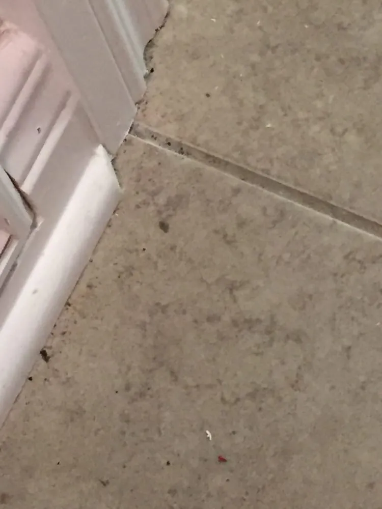 Licensed electrical repair service in ,  - Leslie Heating Cooling Plumbing, & Electric