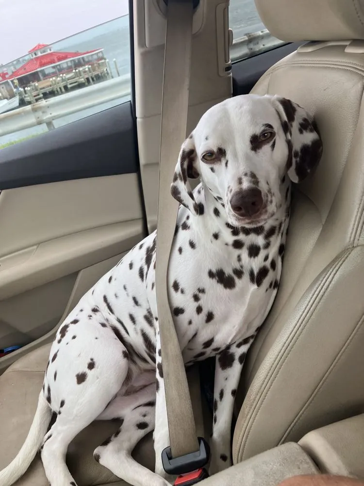 Slide of Let there be Light Electric company