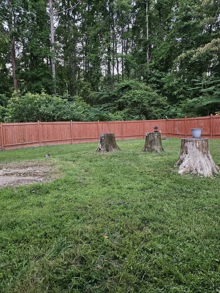 Affordable panel upgrade service in ,  - Level Up Home Improvements