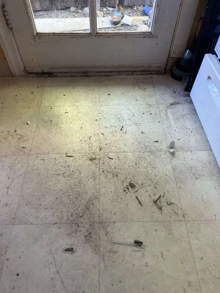 Slide of Level Up Home Pros