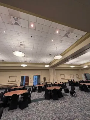 Levinsky Electric Logo