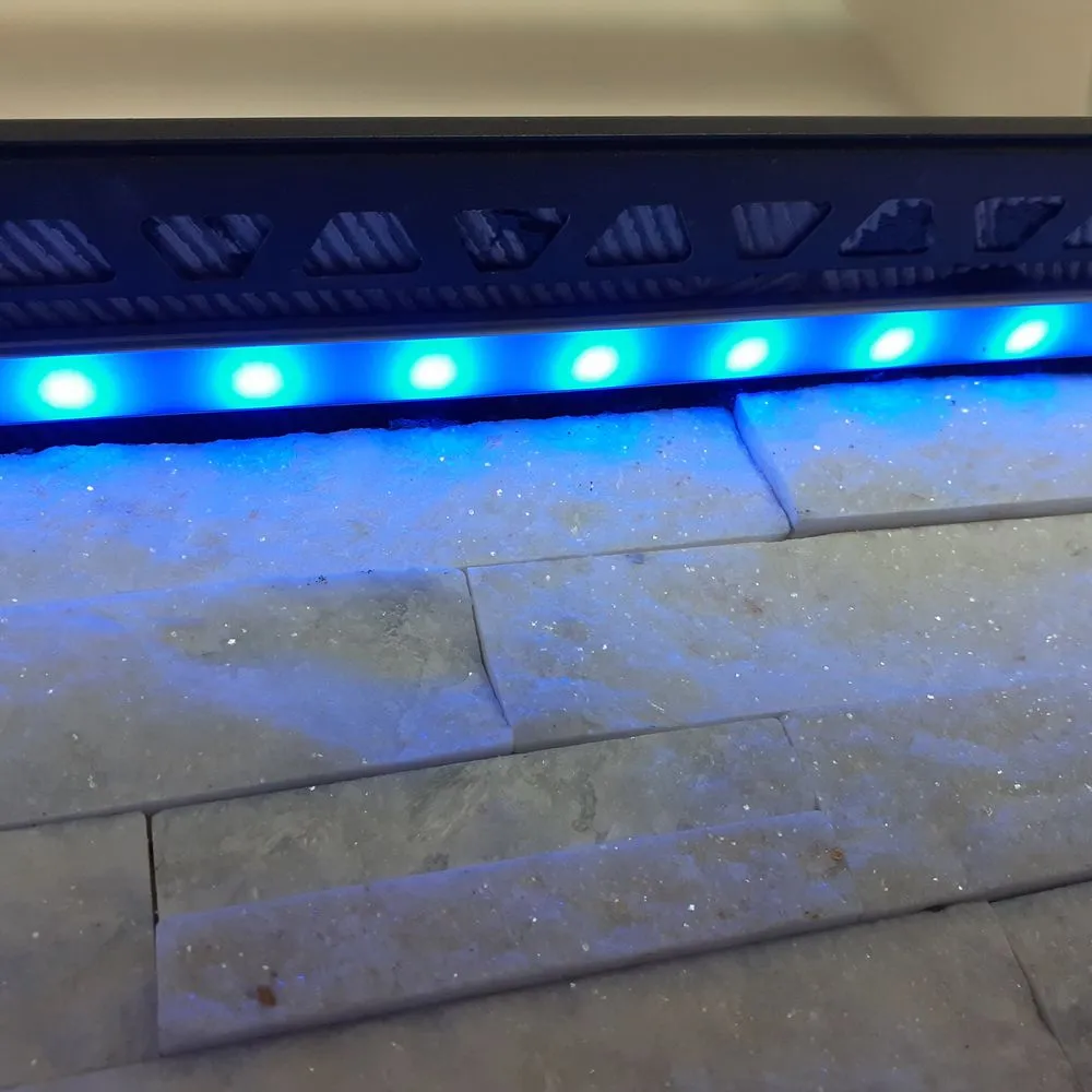 Slide of LevRemodeling