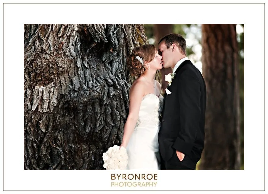 Slide of LevRemodeling