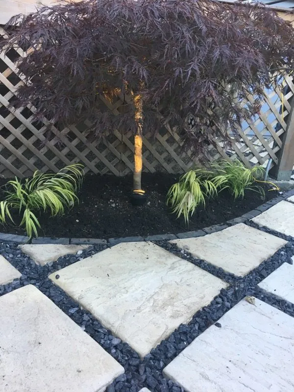 Affordable electrician providing panel upgrade in , 