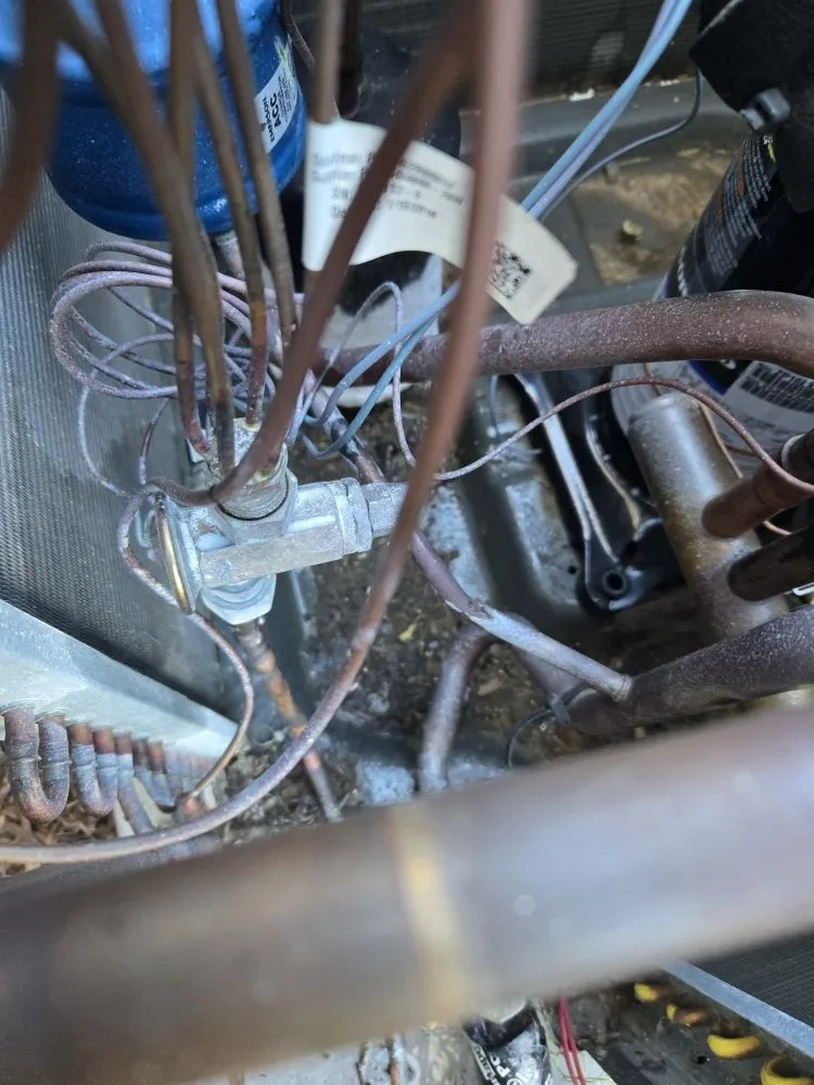 Slide of Light & Living Home Services