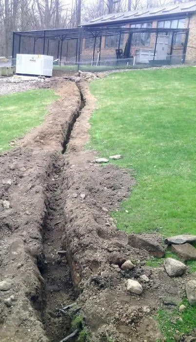 Slide of Light It Up Electric