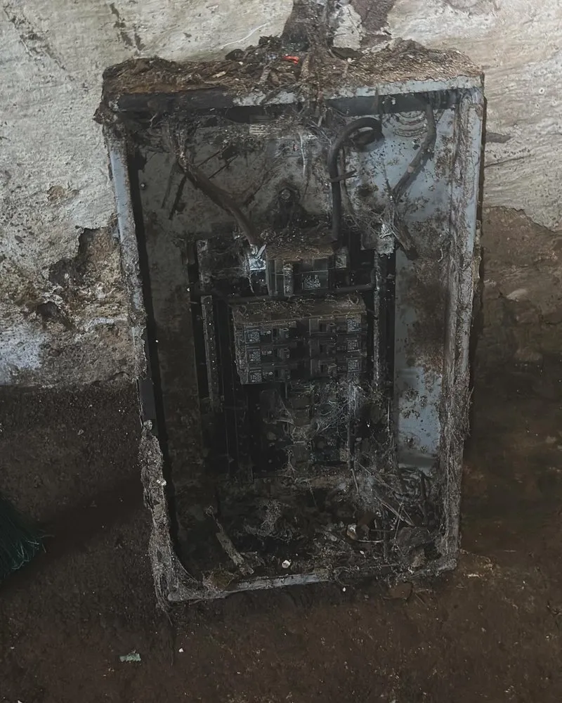 Slide of Light It Up Electric