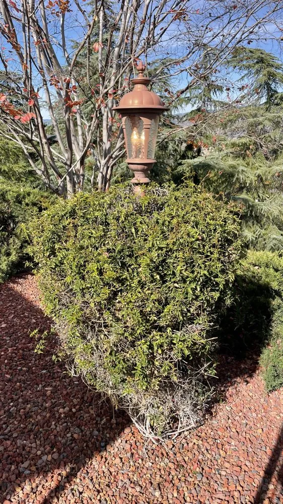 Slide of Light of the World Electric