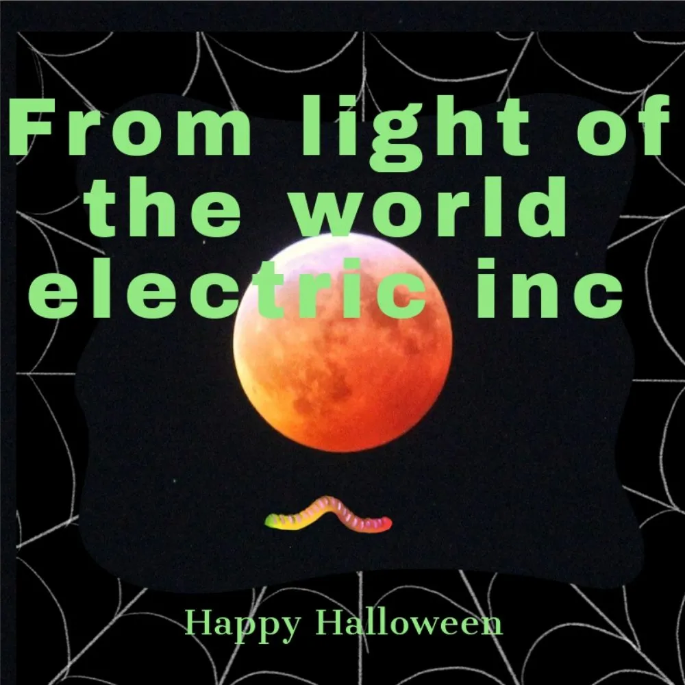 Reliable electrical repair service in ,  - Light of the World Electric