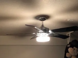 Slide of Light of the World Electric