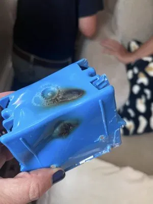 Light Source Electric