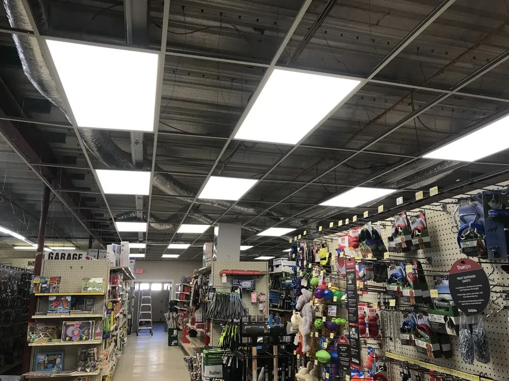 Slide of Light The Way Electric