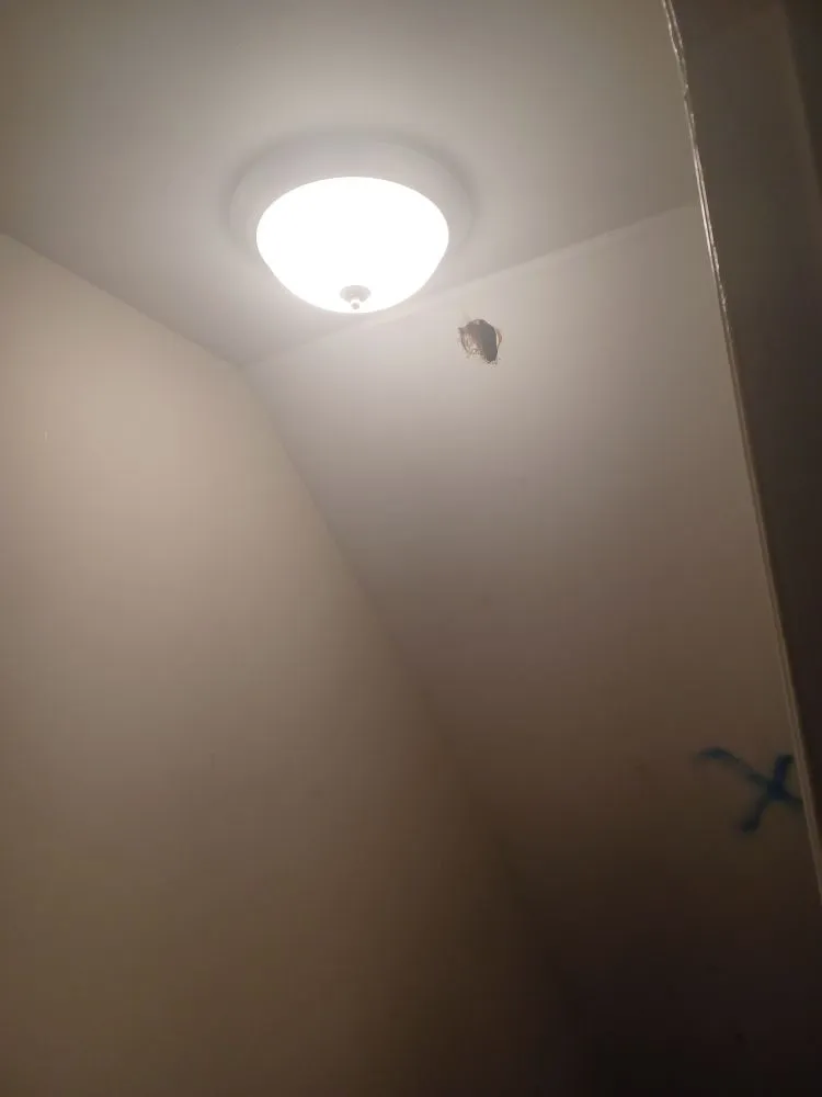 Slide of Light'em up Electric